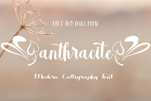 Anthracite: A Whimsical Script Font for Polished Branding