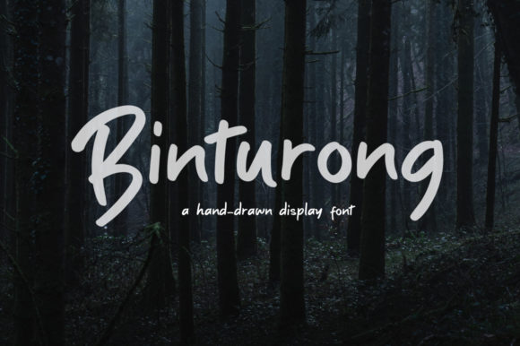 Binturong: The Playful Script Font for Campaigns