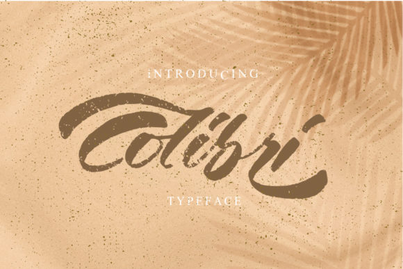 Colibri: The Bold Script Font for Campaigns