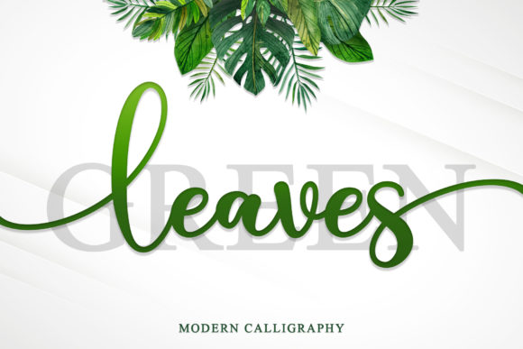 Green Leaves: A Romantic Script Typeface Review