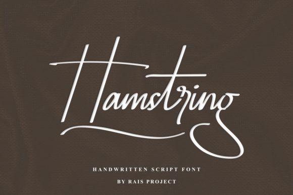 Hamstring: A Delicate Script Font That Elevates Handmade Design