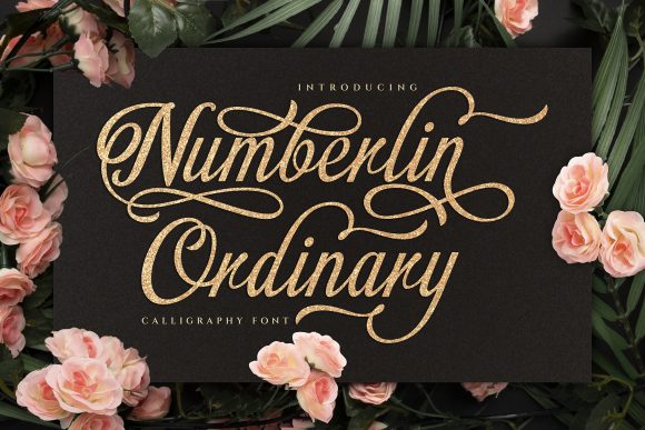 Numberlin Ordinary: A Graceful Handwritten Font for Elegant Editorial Design