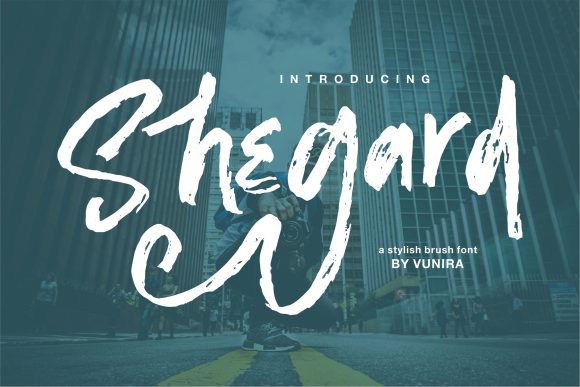 Shegard Font Review: Elevating Web Design with Elegant Typography