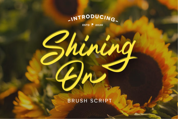 Shining on: A Web Designer's Review of This Elegant Script Font
